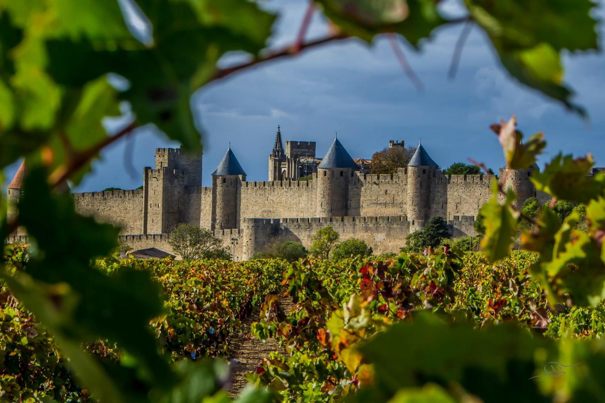 Maison Cantalauze - Pays Cathare - Carcassonne - Canal Du Midi Trebes Ngoại thất bức ảnh